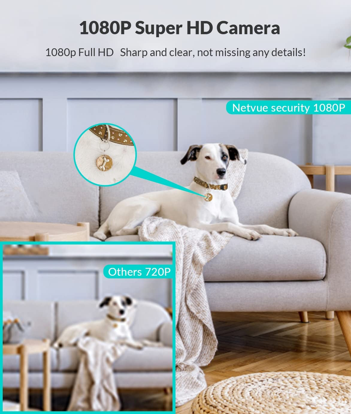 1080P FHD Indoor Pet & Baby Camera - 2-Way Audio, Night Vision, AI Human Detection, Wifi Security Camera with Cloud Storage & TF Card - Perfect for Home Monitoring!