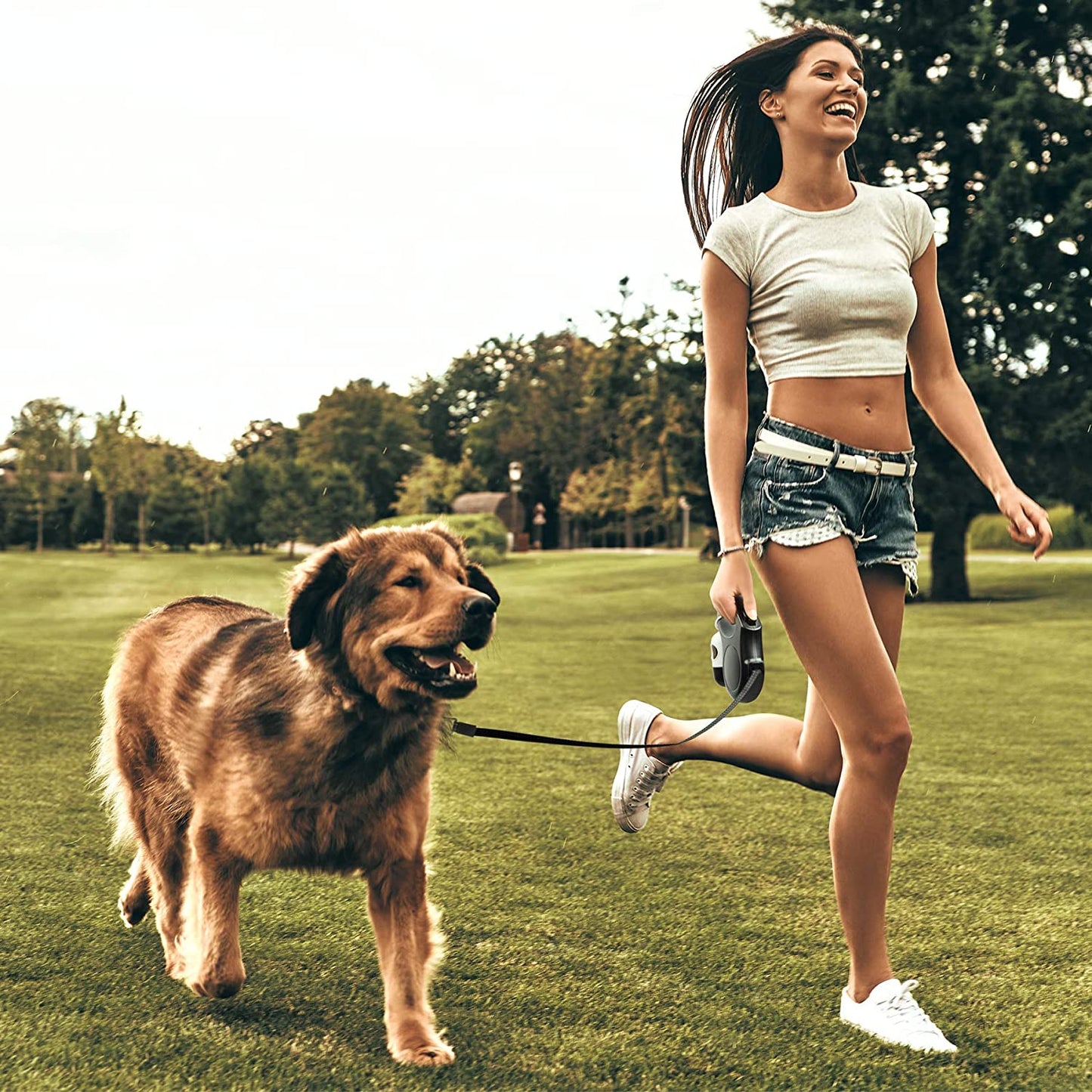 Upgrade your pet walks with our 16 Ft Retractable Leash! 🐾 Comes with a handy poop bag dispenser, perfect for medium dogs and cats up to 44 lbs. Anti-slip handle & reflective tape for safety! 🌟 #PetLovers #DogWalking #CatLife